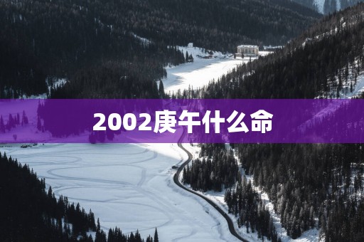 2002庚午什么命