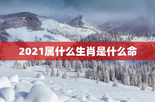 2025属什么生肖是什么命