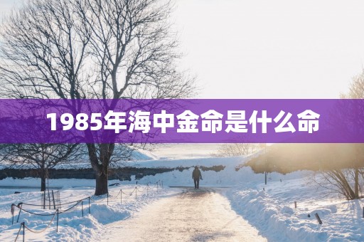 1985年海中金命是什么命
