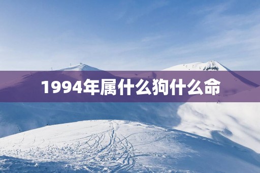 1994年属什么狗什么命