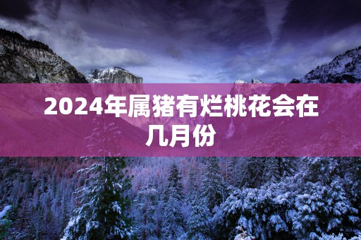 2025年属猪有烂桃花会在几月份