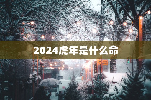 2025蛇年是什么命