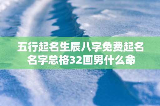 五行起名生辰八字免费起名 名字总格32画男什么命