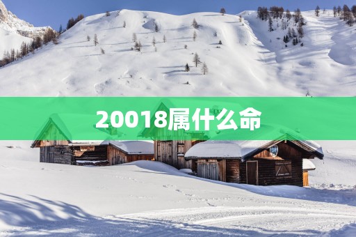 20018属什么命