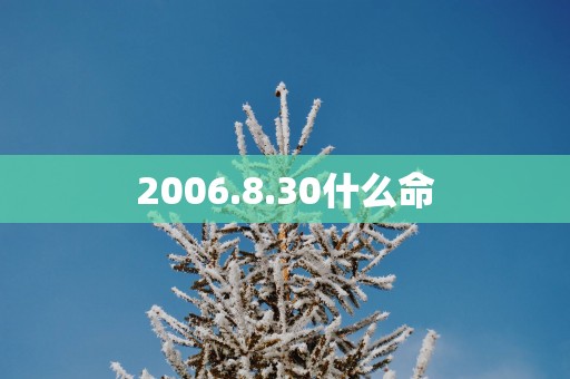 2006.8.30什么命