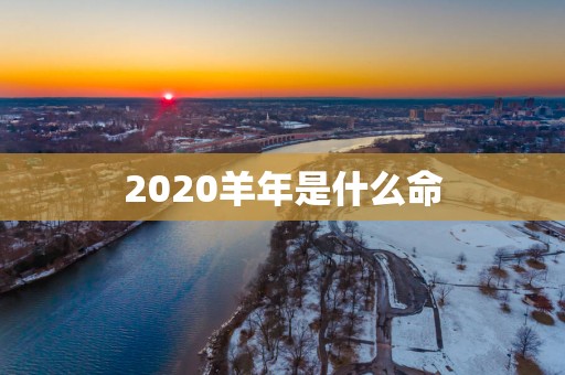 2025羊年是什么命