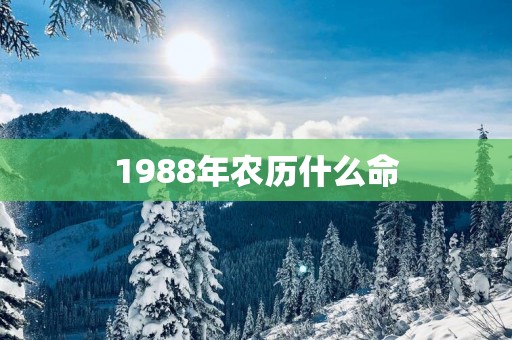 1988年农历什么命