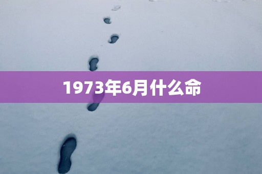 1973年6月什么命