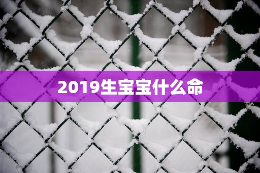 2019生宝宝什么命