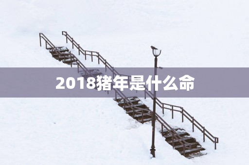2018猪年是什么命