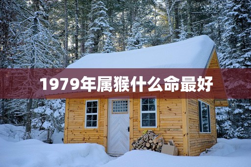 1979年属猴什么命最好