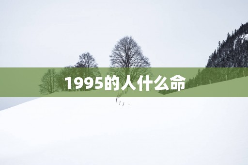 1995的人什么命