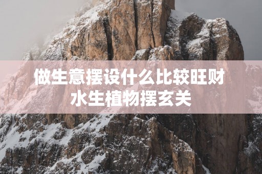做生意摆设什么比较旺财 水生植物摆玄关