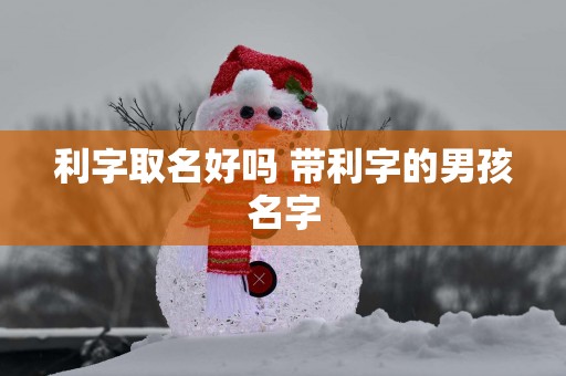 利字取名好吗 带利字的男孩名字