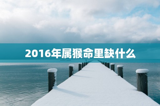 2016年属猴命里缺什么
