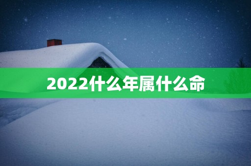 2025什么年属什么命