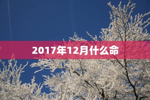 2017年12月什么命