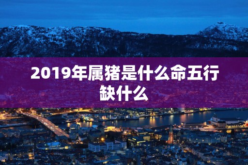 2019年属猪是什么命五行缺什么