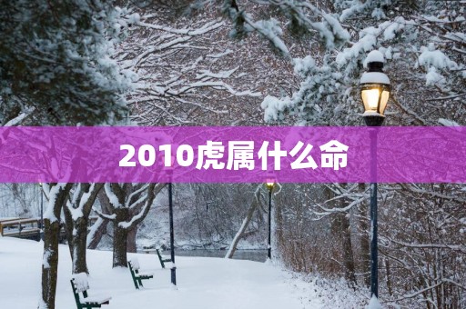 2010虎属什么命