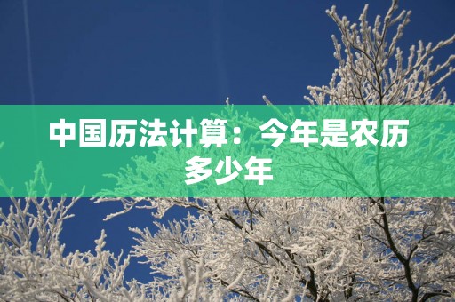 中国历法计算：今年是农历多少年