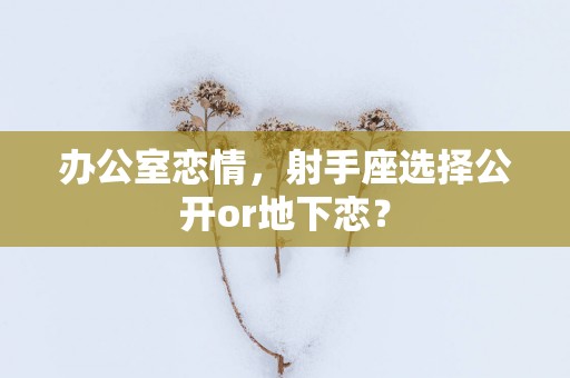 办公室恋情，射手座选择公开or地下恋？