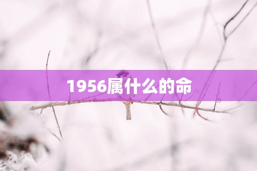1956属什么的命