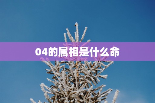 04的属相是什么命