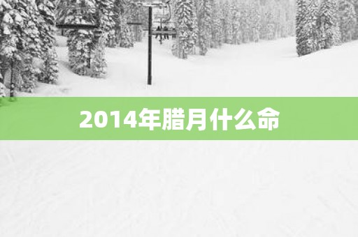2014年腊月什么命