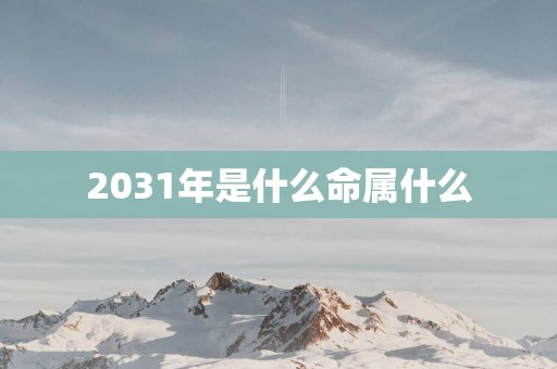 2031年是什么命属什么
