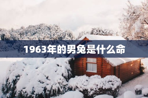 1963年的男兔是什么命