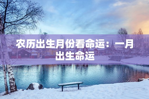 农历出生月份看命运：一月出生命运