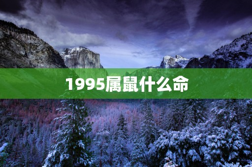 1995属鼠什么命