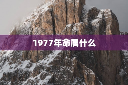 1977年命属什么