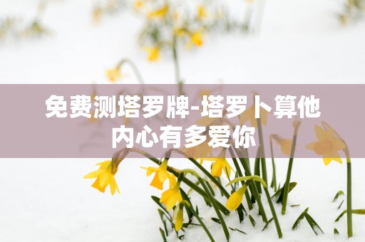 免费测塔罗牌-塔罗卜算他内心有多爱你