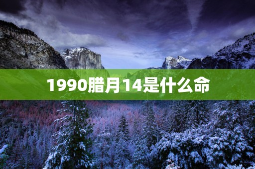 1990腊月14是什么命