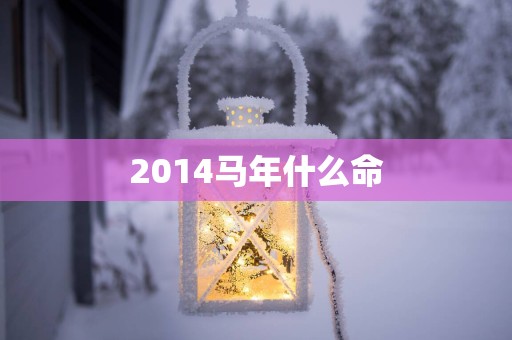 2014马年什么命