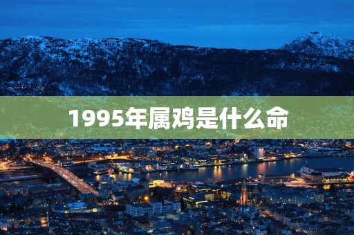 1995年属鸡是什么命