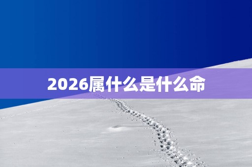 2026属什么是什么命