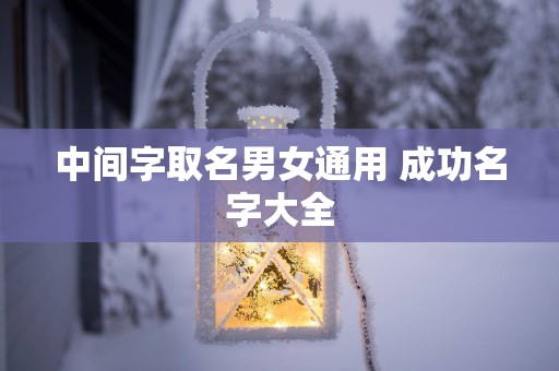 中间字取名男女通用 成功名字大全