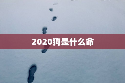 2025狗是什么命