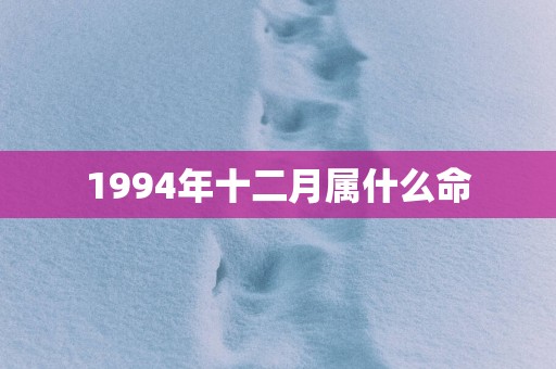 1994年十二月属什么命