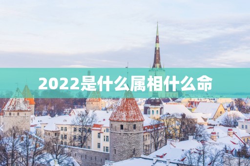 2025是什么属相什么命