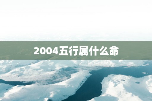 2004五行属什么命