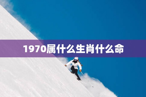 1970属什么生肖什么命