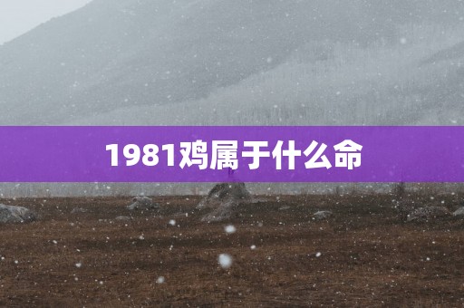 1981鸡属于什么命