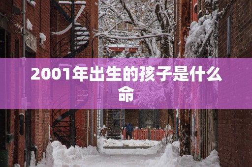 2001年出生的孩子是什么命