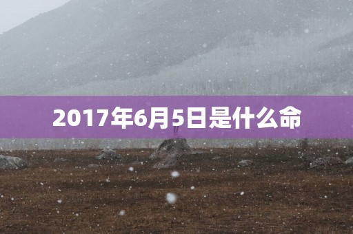 2017年6月5日是什么命