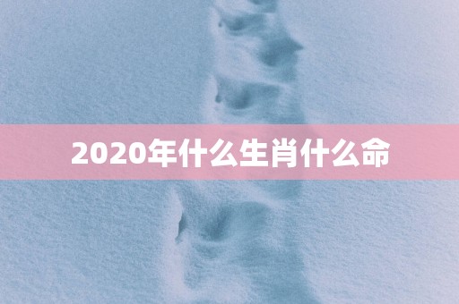 2025年什么生肖什么命