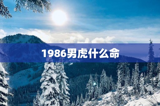 1986男虎什么命