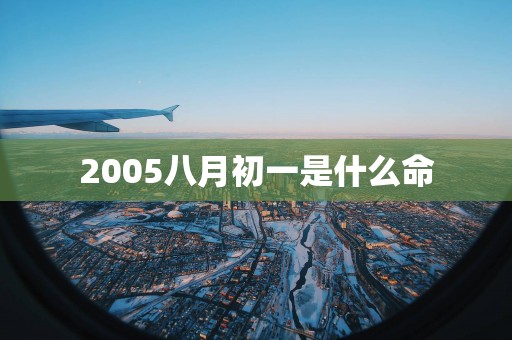 2005八月初一是什么命